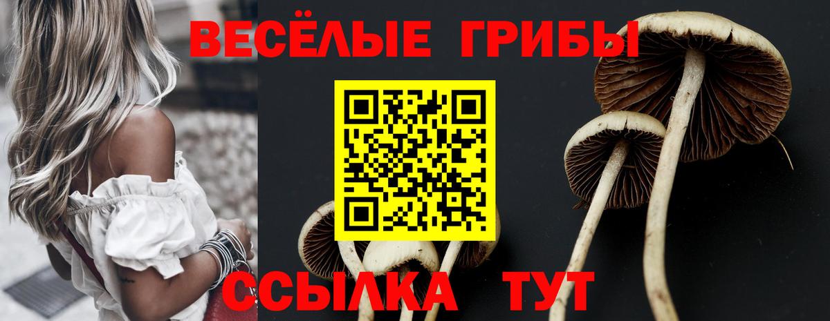 Сургут  Галлюциногенные грибы прущие грибы  Галлюциногенные грибы Magic Shrooms  Вход с VPN 